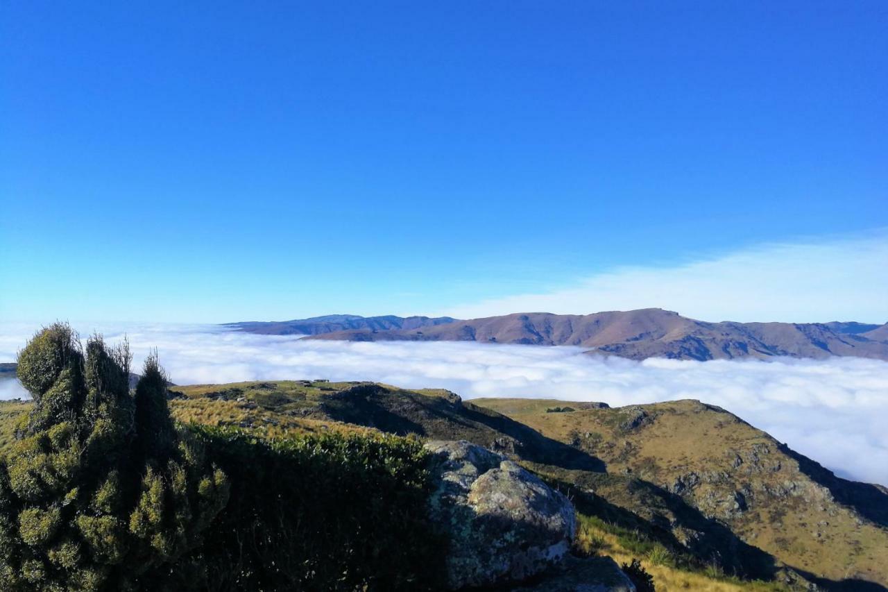 Sea Views In Luxury At Lyttelton Boatique House - 14 Km From Christchurch Exteriör bild