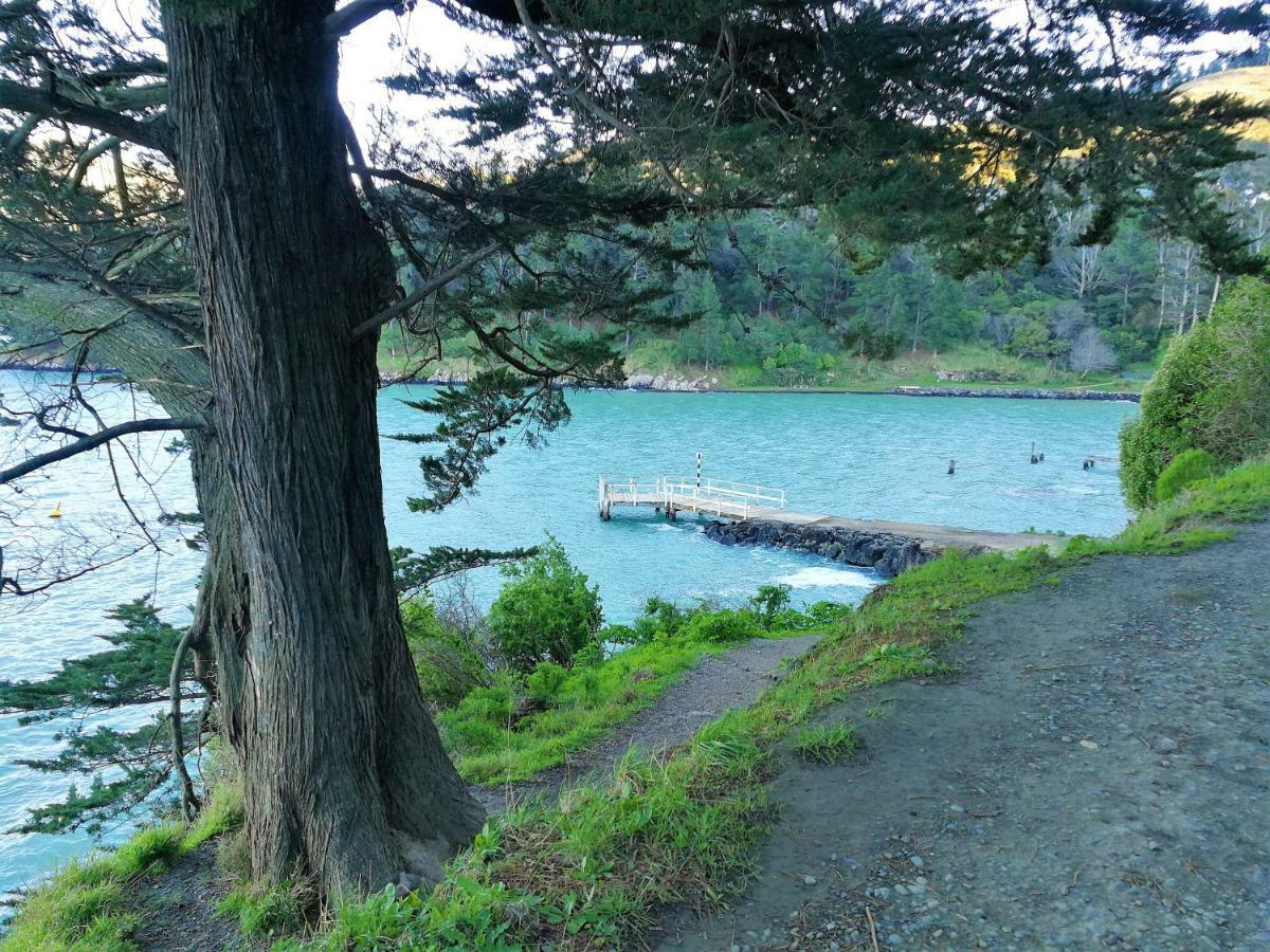 Sea Views In Luxury At Lyttelton Boatique House - 14 Km From Christchurch Exteriör bild